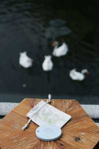 什麼在紅山楂酒店竟然不能躺平