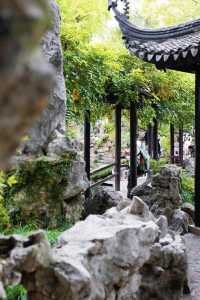 江南秋色藏留園讓人忍不住愛了又愛!