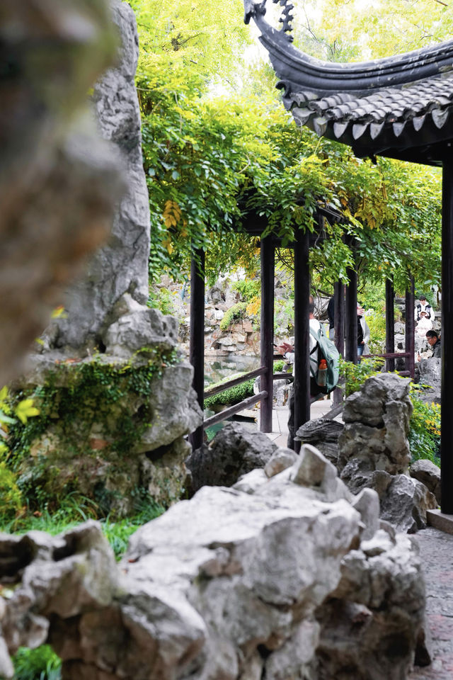 江南秋色藏留園讓人忍不住愛了又愛! 江南秋色藏留園讓人忍不住愛了又愛!