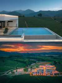 江浙滬2h!帶寵住茶山民宿超省心