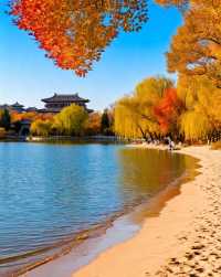 打卡唐風秋韻|邂逅城市邊的詩意與溫柔|收穫滿滿的治癒與快樂