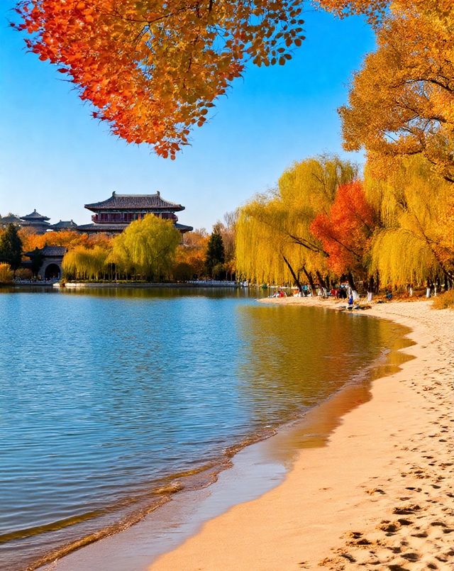 打卡唐風秋韻|邂逅城市邊的詩意與溫柔|收穫滿滿的治癒與快樂