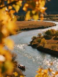 10月林芝親子遊！把童話秋景搬進現實