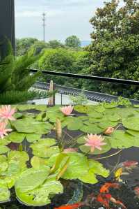 宜興團建封神地！包棟野奢別院太快樂了