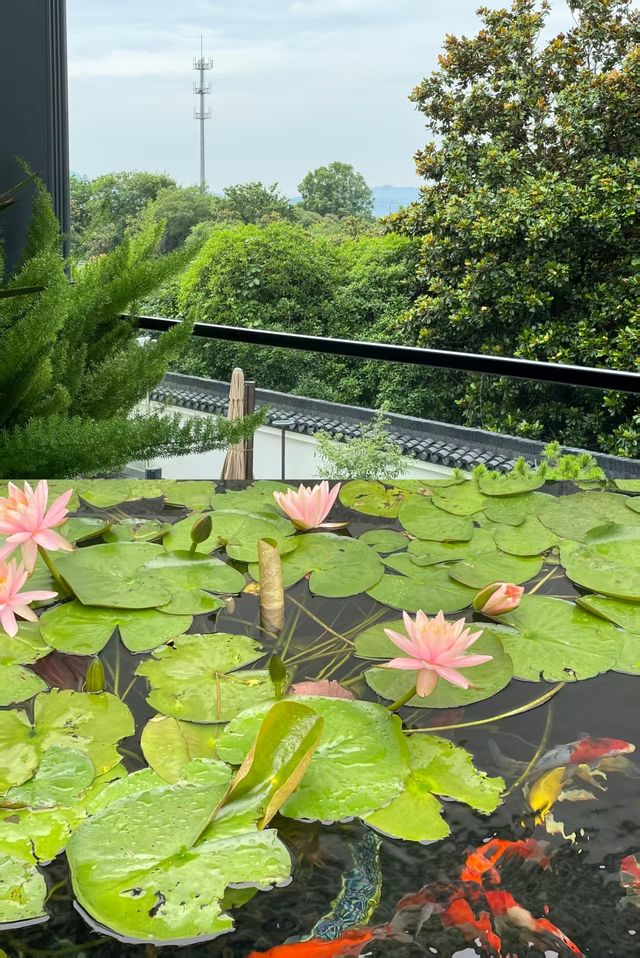 宜興團建封神地！包棟野奢別院太快樂了