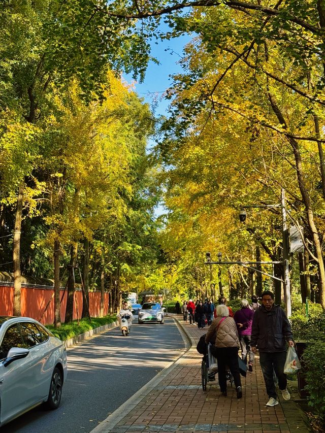 漫步詩歌裡成都浣花溪公園的神仙玩法