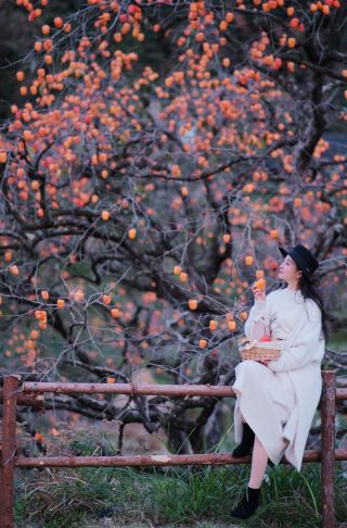 Captured the "Persimmon" Ruyi that went viral on WeChat Moments in Wenzhou