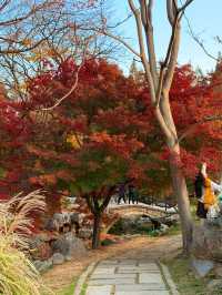 青島，藏匿著愜意的街景