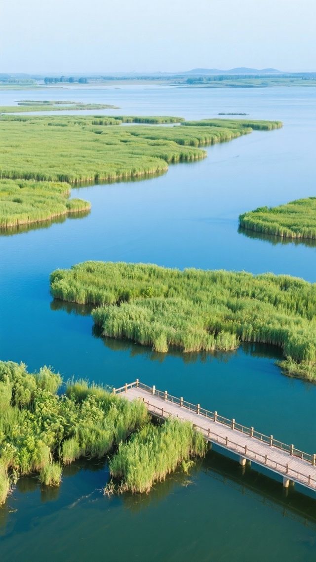 九江親子遊必看攻略