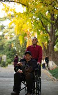 解鎖金陵秋日限定浪漫