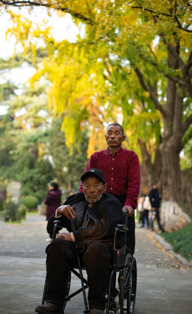 解鎖金陵秋日限定浪漫