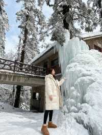 瓦屋山雪已就位！成都自駕3h直達的冰雪快樂，霧淞、冰瀑、滑雪全拿捏，新手閉眼衝的攻略整理好啦，趕緊碼