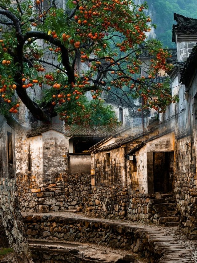 3天2晚餘姚親子遊天花板！保姆級攻略請查收~