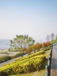 從雅格歡聚酒店出發，解鎖濱江秋日旅拍的N種浪漫