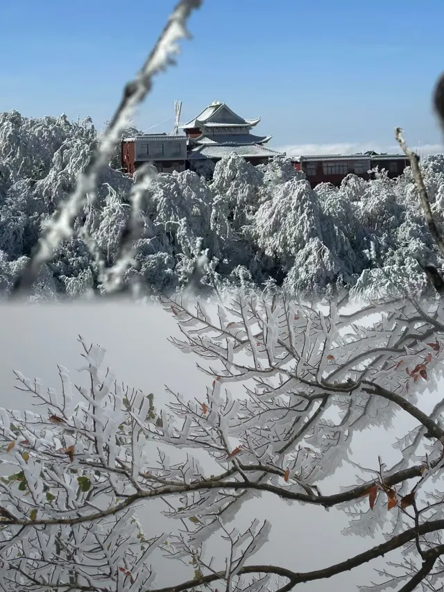 莽山的首場雪霧凇，承包南方人的限定浪漫