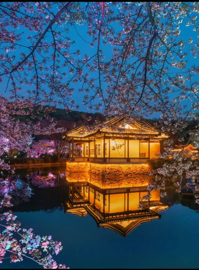 Complete Guide to Must-Photograph Spots in Binhu District, Wuxi! Every Frame is a Masterpiece