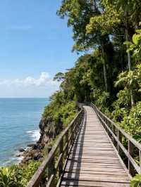 馬來西亞11受罪已回,說點難聽的大實話