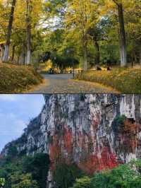 秋遊桂林5日這份攻略不看虧大啦