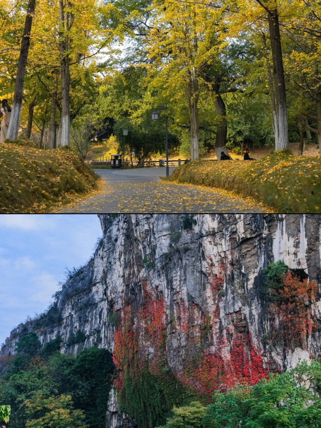 秋遊桂林5日這份攻略不看虧大啦 秋遊桂林5日這份攻略不看虧大啦