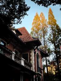 都市中的秋日詩篇