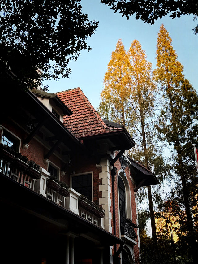 都市中的秋日詩篇 都市中的秋日詩篇