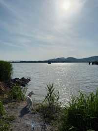 第一次去湖州玩直接複製這條日遊路線