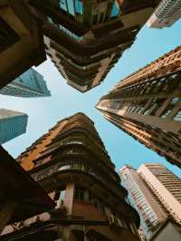 重慶奉節親子遊，紅葉季的趣味自然課堂