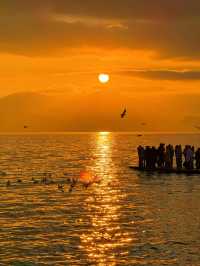 12.3！大理洱海的含金量還在上升！