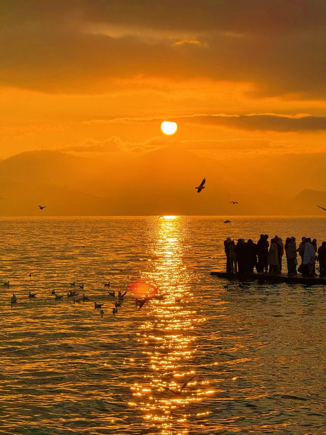 12.3！大理洱海的含金量還在上升！