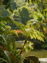 12月仙湖植物園親子遊|不走回頭路攻略