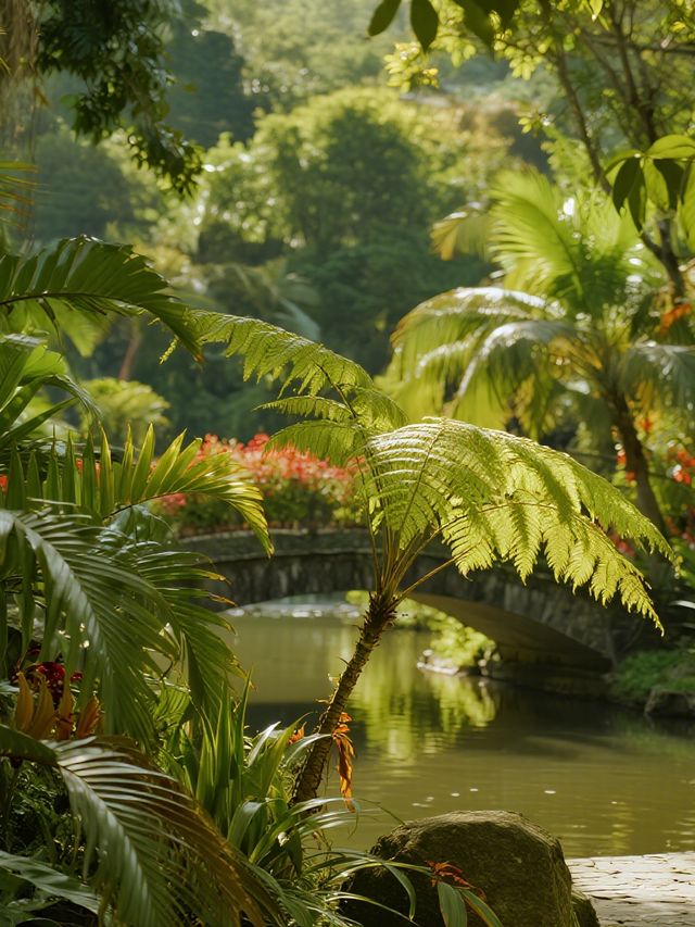 12月仙湖植物園親子遊|不走回頭路攻略 12月仙湖植物園親子遊|不走回頭路攻略