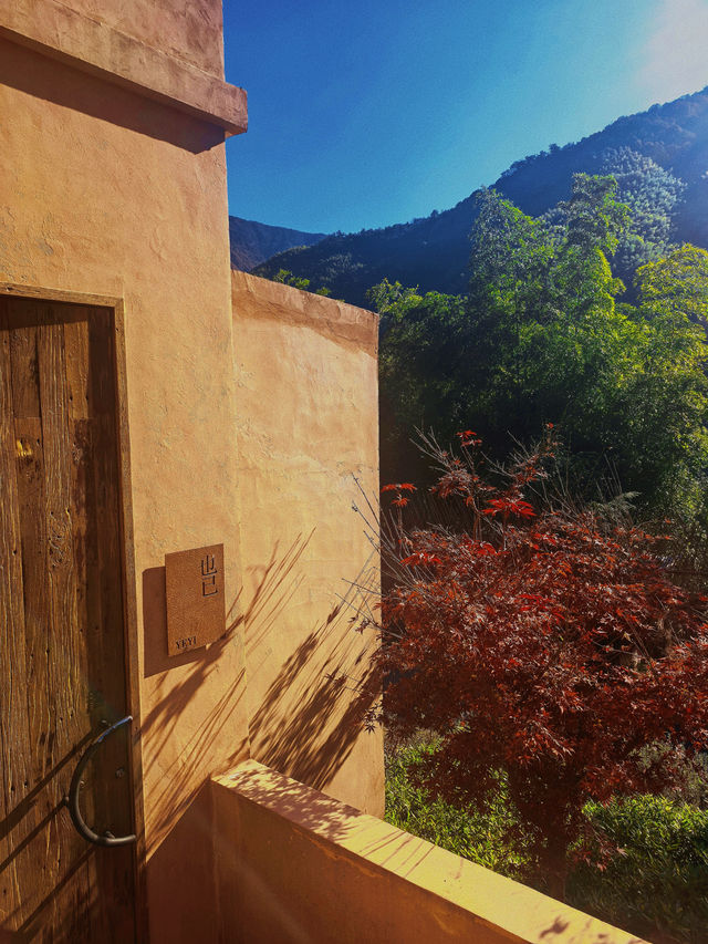 安吉隱世新坐標|竹林泳池邂逅星空 安吉隱世新坐標|竹林泳池邂逅星空