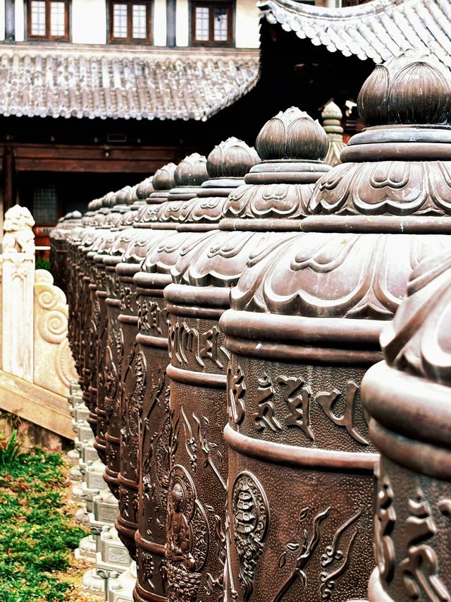 上海追秋 千年銀杏+元代古寺|真如寺打卡全攻略 上海追秋 千年銀杏+元代古寺|真如寺打卡全攻略