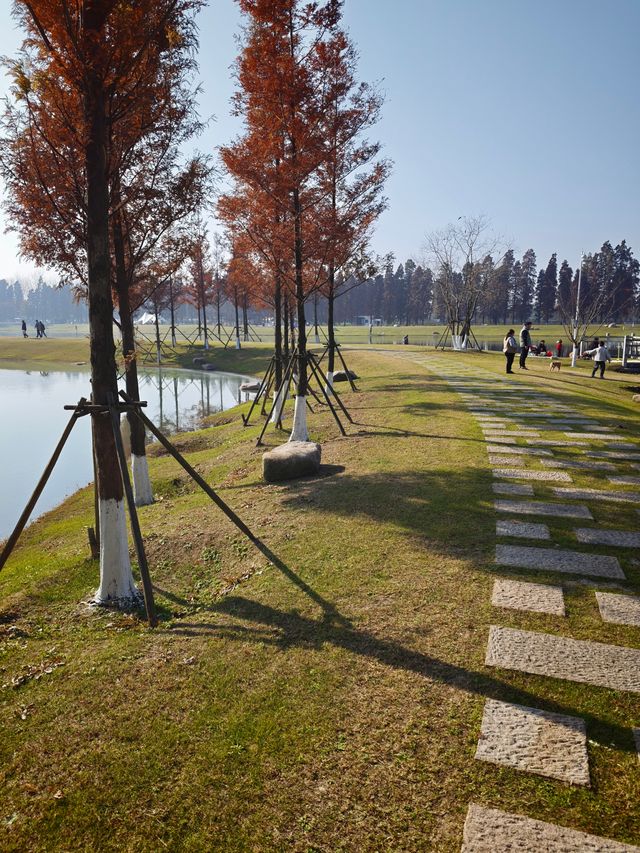 太湖綠地公園 太湖綠地公園