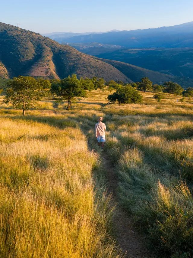 不是非洲這是雲南人自己的薩王納草原~