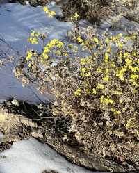 永登小眾玩法推薦