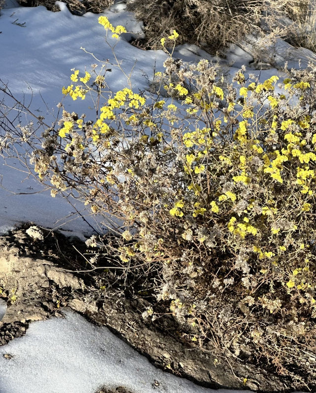 永登小眾玩法推薦 永登小眾玩法推薦