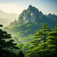 天下泉城丨72名泉巡禮 · 48小時極致體驗 觸摸歷史的溫度 05:30 獨占趵突泉觀瀾亭