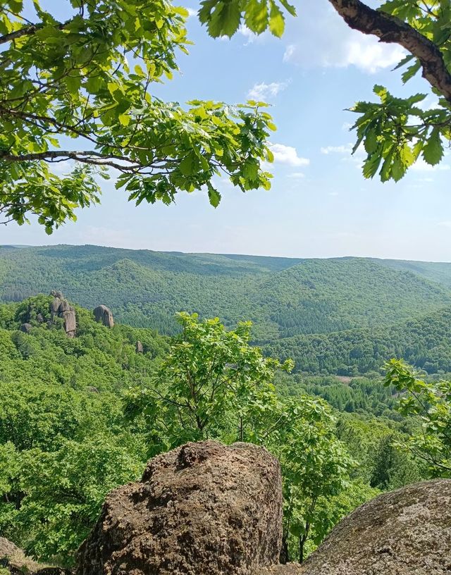 縉雲小黃山徒步攻略|小眾秘境+徒步時長全解鎖 縉雲小黃山徒步攻略|小眾秘境+徒步時長全解鎖
