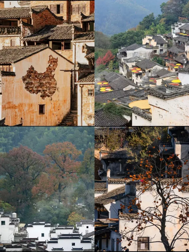 江西秋景！三清山+婺源+景德鎮3日暴走攻略