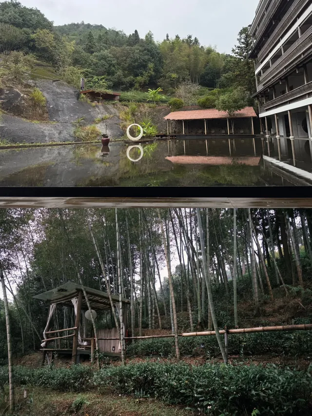 武夷山週末遊|兩日一晚吸氧飲茶計劃🫖 武夷山週末遊|兩日一晚吸氧飲茶計劃🫖