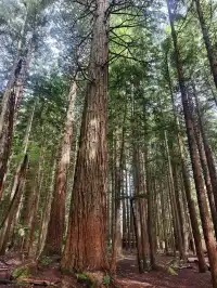 新西蘭北島值得二刷的羅托魯瓦