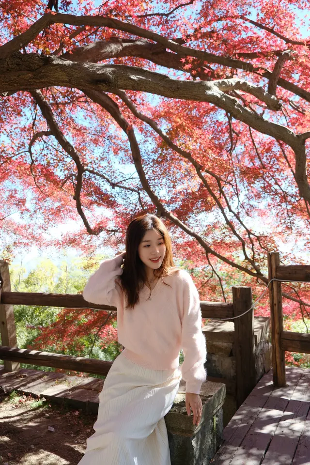 莫干山的楓葉紅啦錯過等一年