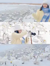 下雪的威海氛圍感絕了