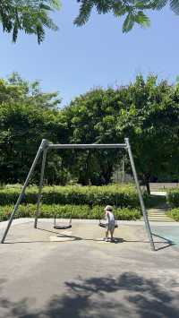 避開人擠人深圳灣親子騎行攻略,新手友好