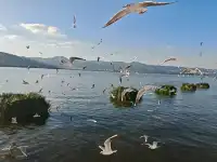 我在騰衝“騰騰震”,差點去了緬甸