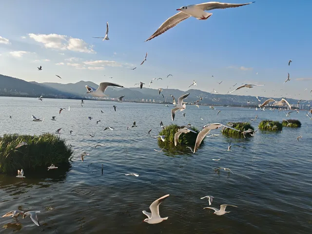 我在騰衝“騰騰震”,差點去了緬甸 我在騰衝“騰騰震”,差點去了緬甸