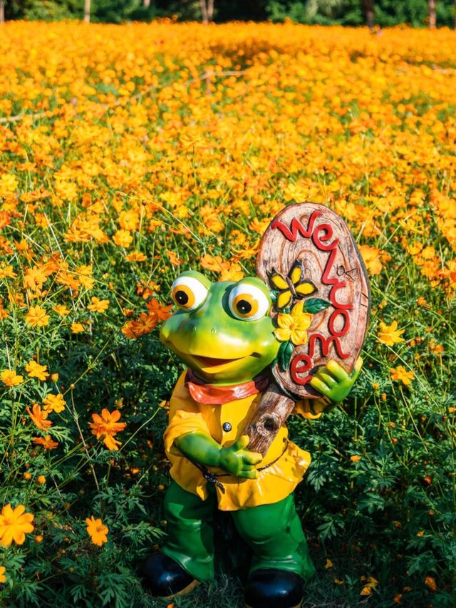 深圳東湖公園 深圳東湖公園