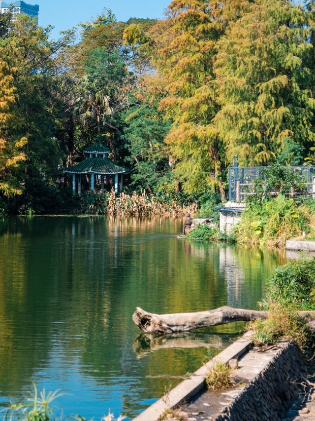 深圳東湖公園 深圳東湖公園