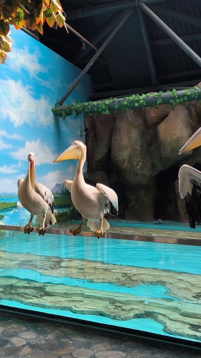 哈爾濱極地公園攻略筆記 哈爾濱極地公園攻略筆記